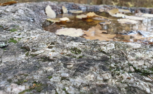 15_Lūžių akmuo su dubeniu (2).jpg